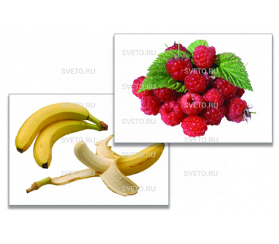 Дидактическое пособие "Фрукты, ягоды, орехи" 