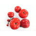 Набор муляжей "Дикая форма и культурные сорта томатов"