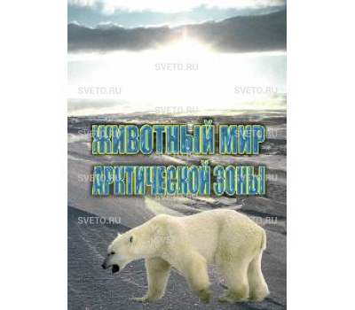 Диск "Животный мир Арктической зоны"