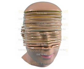 Модель горизонтальных срезов головы и шеи человека