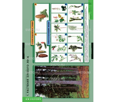 Таблицы "Растения и окружающая среда" (7 таблиц)